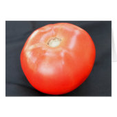 Jersey Tomato 3 (Vorderseite (Horizontal))