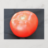 Jersey Tomato 3 Postkarte (Vorderseite)