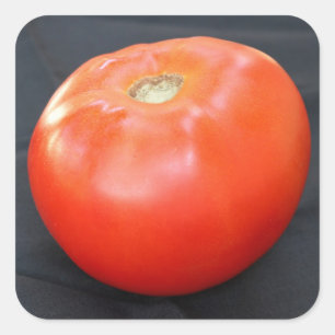 Jersey Tomato 4 Quadratischer Aufkleber