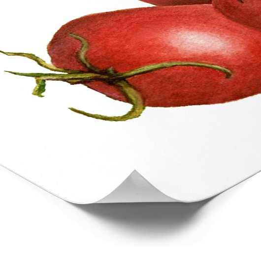 Jersey Tomato Poster (Ecke)
