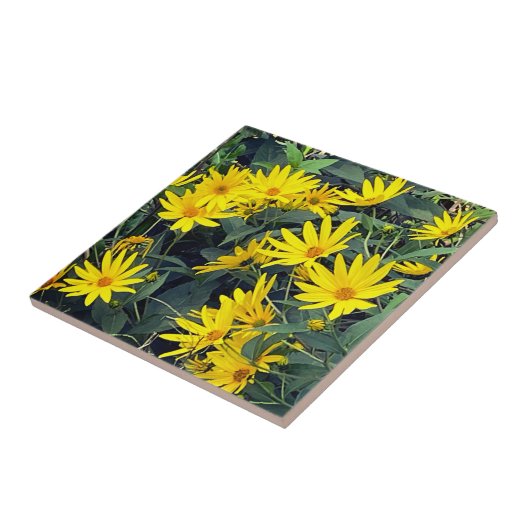 Jerusalem Artichoke Blume Fliese (Seite)