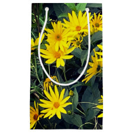 Jerusalem Artichoke Blume Kleine Geschenktüte