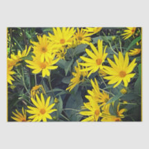 Jerusalem Artichoke Blume