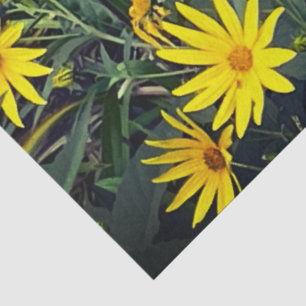 Jerusalem Artichoke Seidenpapier