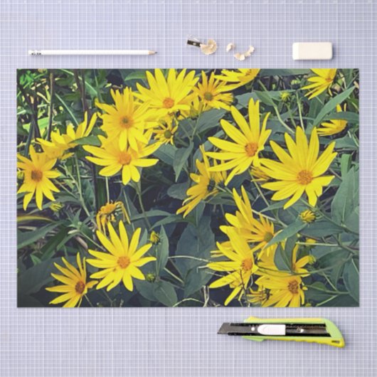 Jerusalem Artichoke Seidenpapier (Handwerk)