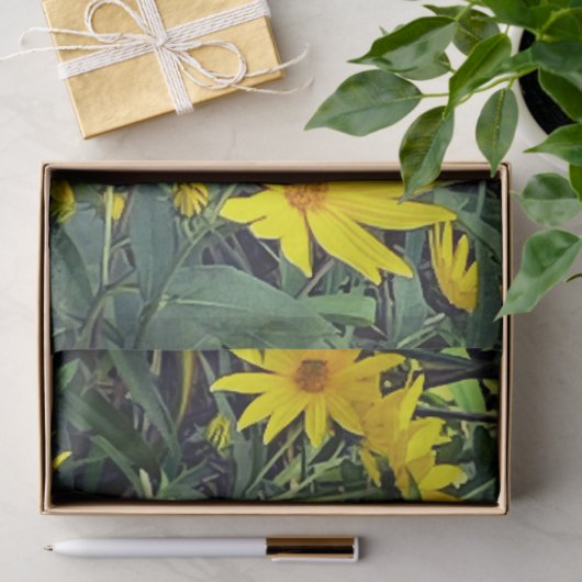 Jerusalem Artichoke Seidenpapier (Geschenk)