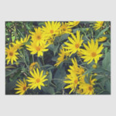 Jerusalem Artichoke Seidenpapier (Vorderseite)