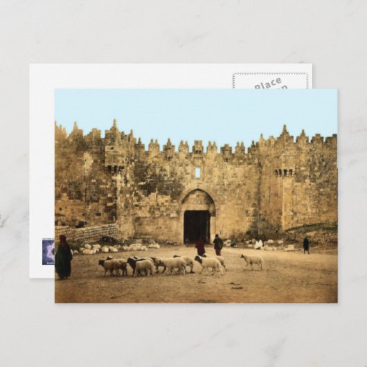 Jerusalem - Damaskus Gate Postkarte (Vorne/Hinten)