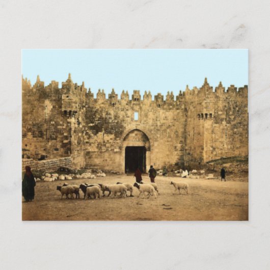 Jerusalem - Damaskus Gate Postkarte (Vorderseite)