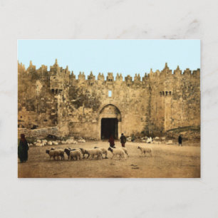 Jerusalem - Damaskustor Postkarte