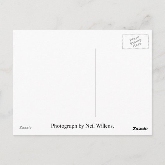 Jerusalem, Israel Post Card Postkarte (Rückseite)