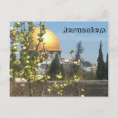 Jerusalem Schöne PostCard Postkarte (Vorderseite)