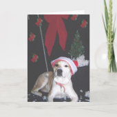 Jerzy-zweitweihnachten Feiertagskarte (Vorderseite)