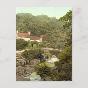 Jesmond Dene I, Newcastle-on-Tyne, England Postkarte