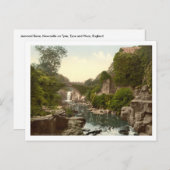 Jesmond Dene II, Newcastle-upon-Tyne, England Postkarte (Vorne/Hinten)