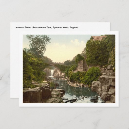 Jesmond Dene II, Newcastle-upon-Tyne, England Postkarte (Vorne/Hinten)