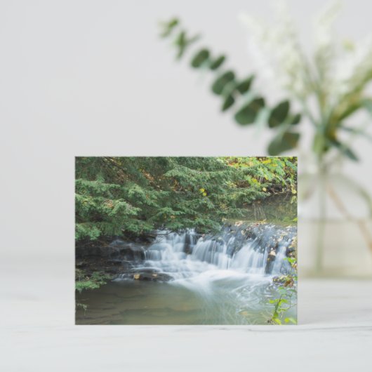 Jesmond Dene Postkarte (Stehend Vorderseite)