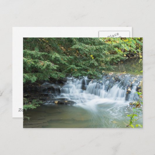 Jesmond Dene Postkarte (Vorne/Hinten)