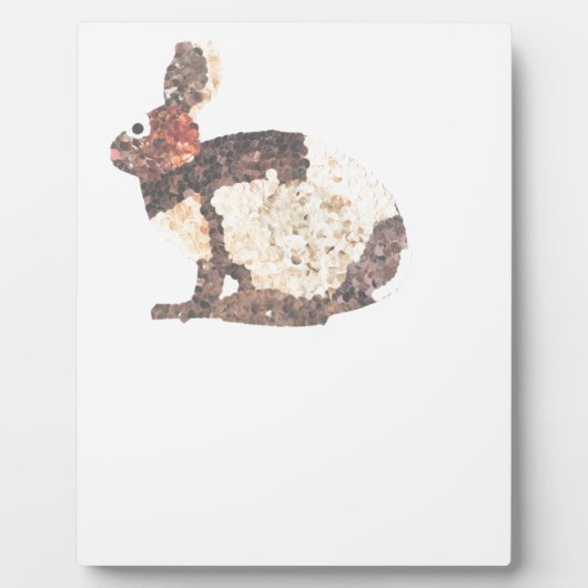 Jess Fotoplatte (Vorderseite)