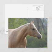 Jessie Rey Freckle Postkarte (Vorne/Hinten)