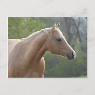 Jessie Rey Freckle Postkarte