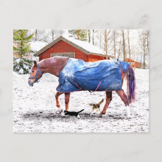 "Jessie's New Blanket" Postkarte (Vorderseite)