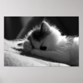 Jessy Jane - Kleines Poster (Vorne)