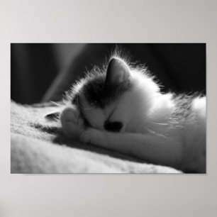 Jessy Jane - Kleines Poster