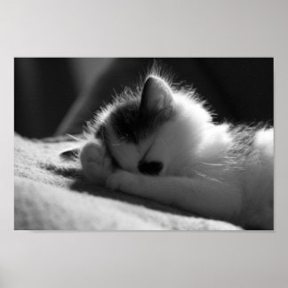 Jessy Jane - Kleines Poster