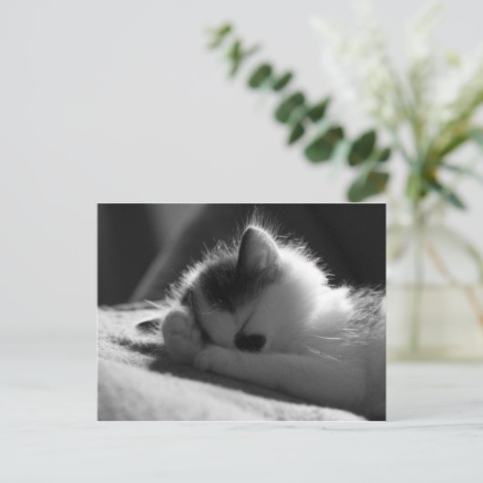 jessy jane - Postkarte (Stehend Vorderseite)