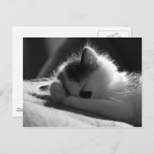 jessy jane - Postkarte (Vorne/Hinten)