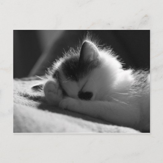 jessy jane - Postkarte (Vorderseite)