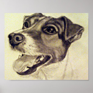 Jester der Jack Russell Terrier Poster