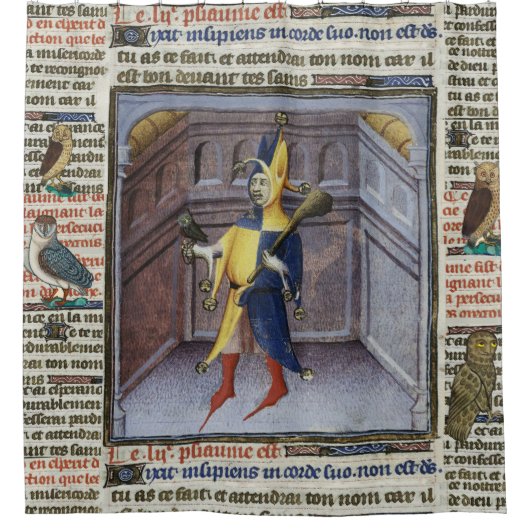 JESTER HOLING OWL MEDIEVAL MANUSCRIPT DUSCHVORHANG (Vorderseite)