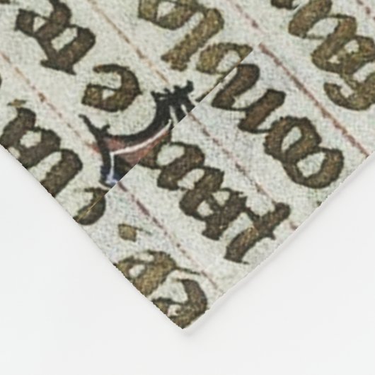 JESTER HOLING OWL MEDIEVAL MANUSCRIPT FLEECEDECKE (Ecke)