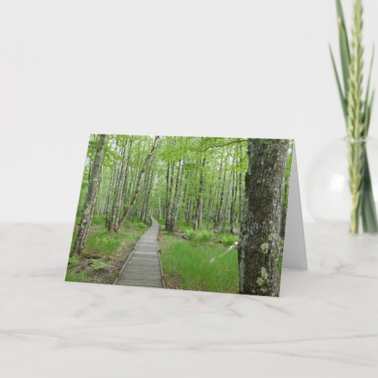 Jesup Path Boardwalk Trail Karte (Vorderseite)