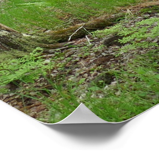 Jesup Path Gartenwanderweg Poster (Ecke)