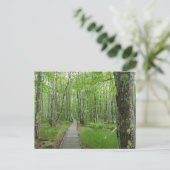 Jesup Path Gartenwanderweg Postkarte (Stehend Vorderseite)