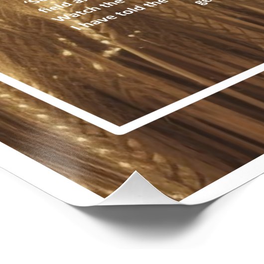 Jesus - der große Boaz Poster (Ecke)