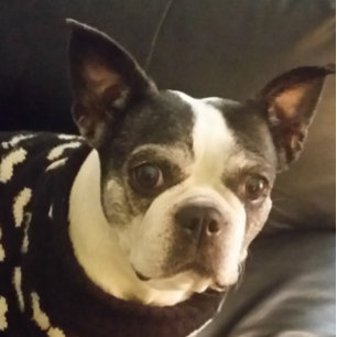 Jesus folgt mir Notepad, Weihnachten, Geschenke, e Notizblock