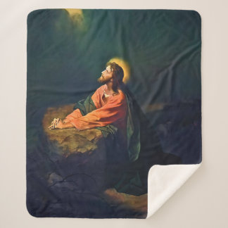 Jesus Gethsemane Agony Garden Mount Olives Hofman Sherpadecke