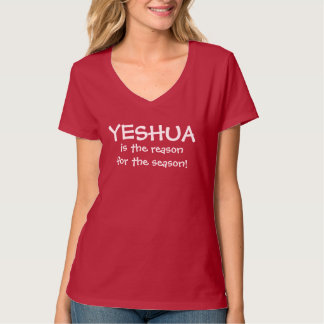 JESUS IST DER GRUND FÜR ALLES, WAS T - SHIRT