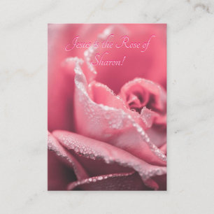 Jesus ist "Die Rose Sharons" Begleitkarte