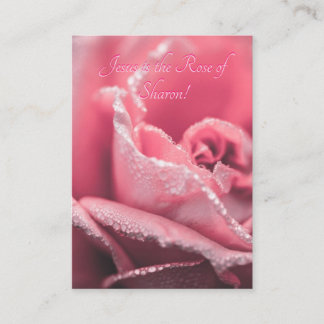 Jesus ist "Die Rose Sharons" Begleitkarte