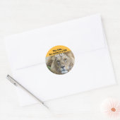 JESUS LION OF JUDAH CHRISTLICH STICKERS (Umschlag)