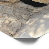 Jesus Open Tomb Israel Canvas Print Poster (Ecke)