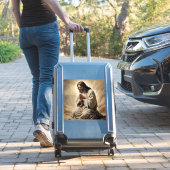 Jesus Praying Vinyl Sticker (Koffer Insitu)