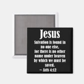 Jesus Salvation Acts 4 12 Christian Scripture Bibl Magnet (Vorderseite/Rückseite)