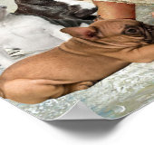 Jesus Surround B?Französischer Bulldog Poster (Ecke)