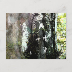 Jesus und der Baum Postkarte